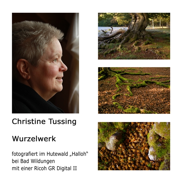 20121112-vorstellung - christine tussung.jpg